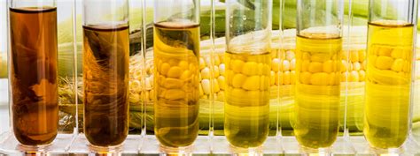 Biofuel | Biofuel Examples | Types of Biofuel