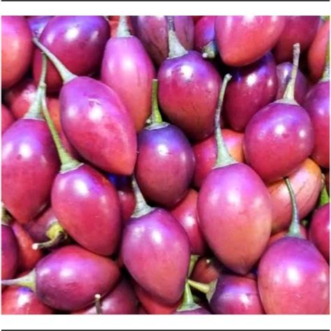 Jual Terong Belanda Segar 1kg | Shopee Indonesia