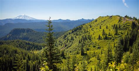 Gifford Pinchot National Forest | Etsy