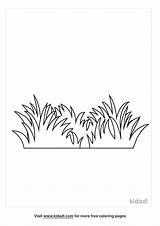 Simple Grass Coloring Pages sketch template