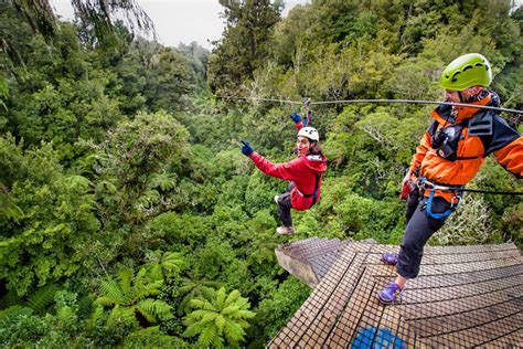 Rotorua Forest Zipline Canopy Adventure Eco Tours