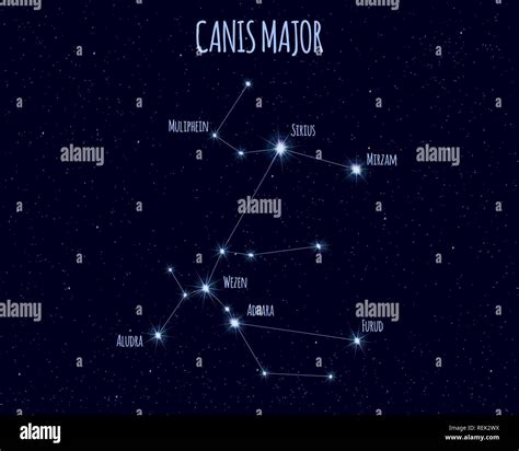 Canis Major (The Great Dog) constellation, vector illustration with the names of basic stars ...