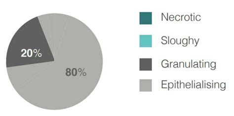 SKIN GRAFT DONOR SITE – Axio Biosolutions