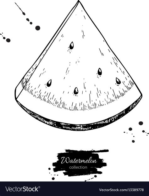 Watermelon slice drawing isolated hand Royalty Free Vector