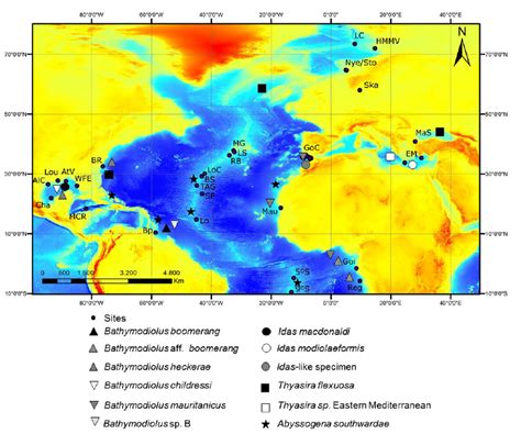 Map displaying the deep-sea hydrothermal vent and cold seep sites from... | Download Scientific ...