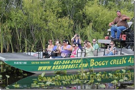 Boggy Creek Airboat Rides | Airboat rides, Airboat, Orlando travel