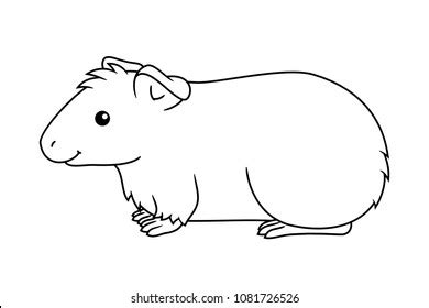 Black White Cute Cartoon Guinea Pig: vector de stock (libre de regalías) 1081726526 | Shutterstock