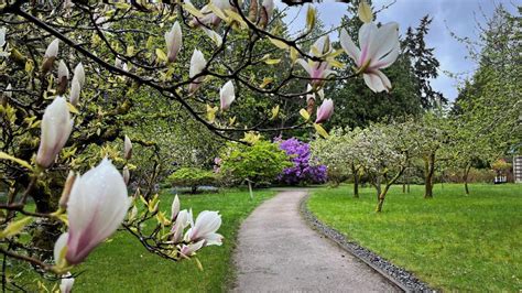 Woodland & Gardens | Milner Gardens | Vancouver Island University | Canada