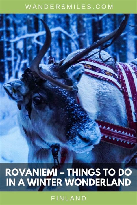 6 Best Winter Adventures in Rovaniemi Finland | Rovaniemi, Winter ...