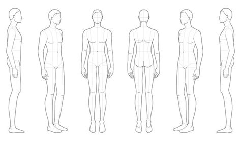 Body Outline Male 300 vectors stock photos psd files