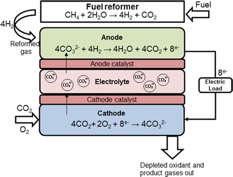 Operating principle of the Molten Carbonate Fuel Cell when H2 from... | Download Scientific Diagram