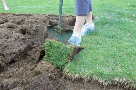 Super Easy Sod Removal | Hometalk