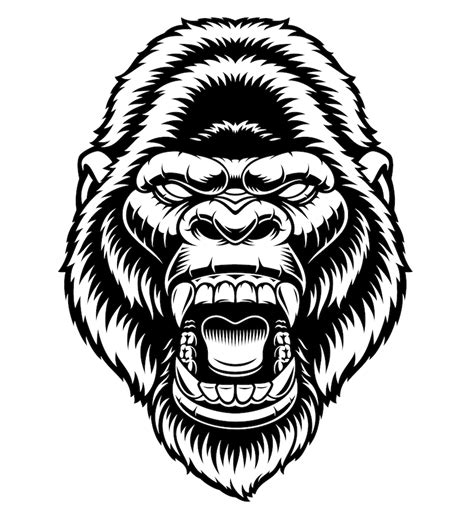 A black and white vector illustration of a gorilla head, isolated on ...