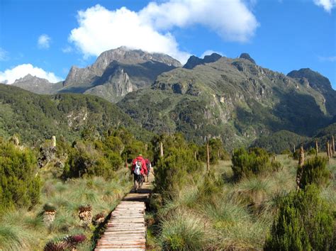 Rwenzori mountains national park