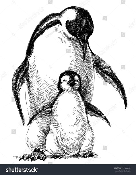 2.204 Penguin family drawing: immagini, foto stock e grafica vettoriale ...