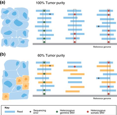 Identifying driver mutations in sequenced cancer genomes: computational approaches to enable ...