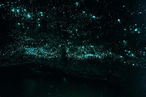 New Zealand's Glow Worm Caves - Via.com Travel Blog