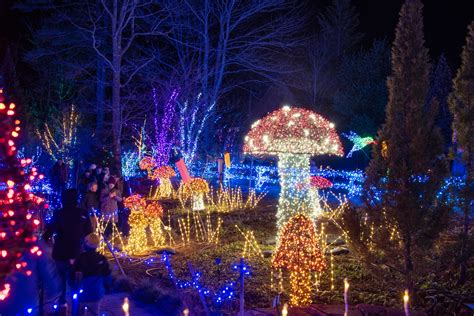 Gardens Aglow: Then & Now | Coastal Maine Botanical Gardens