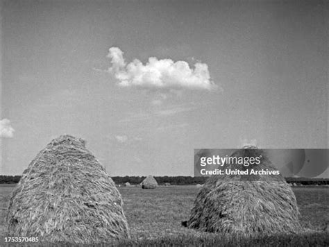 Courland Lagoon Photos and Premium High Res Pictures - Getty Images