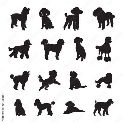 Poodle dog silhouettes, Poodle dog silhouette collection. Stock Vector ...