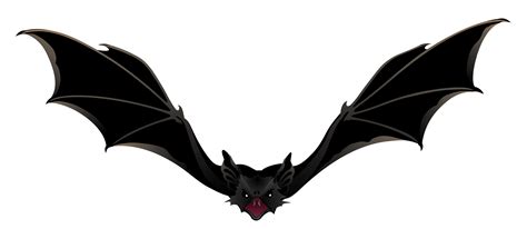 Creepy Bat PNG Picture | Gallery Yopriceville | Bat images, Bat vector, Halloween creatures