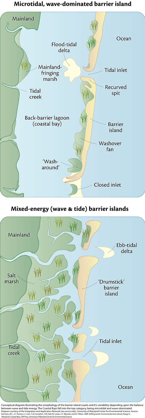 Barrier Island Diagram