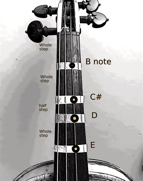 Violin Fingering, Notes And Finger Placement On A String