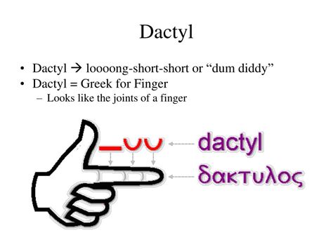 PPT - Dactylic Hexameter PowerPoint Presentation, free download - ID:6658846