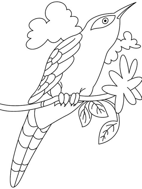 Cuckoo Bird, : Drawing Cuckoo Bird Coloring Pages Bird Coloring Pages, Pattern Coloring Pages ...