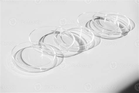 Petri dish. A set of Petri cups. On a white background. Laboratory half ...