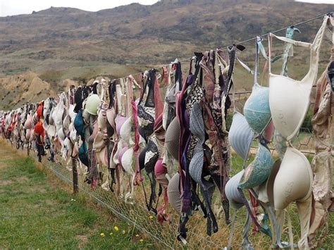 Cardrona Bra Fence | CoNZealand