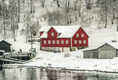 Premium Photo | Norwegian fjords in winter