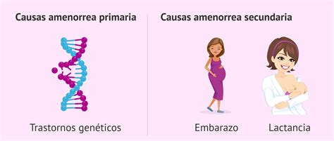 Causas primarias y secundarias de la amenorrea