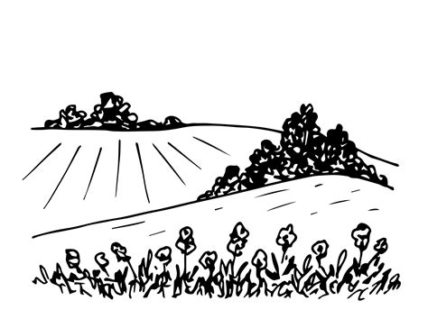 Hand-drawn simple vector black and white drawing. Summer rural landscape, hills, meadow, flowers ...