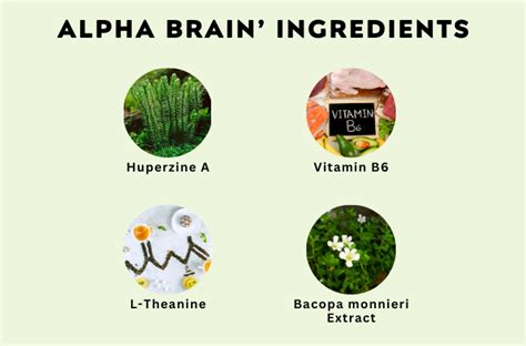 Alpha Brain Ingredients • Dumb Little Man