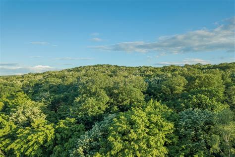 Aerial Forest Scenery European Forest. Beautiful Mountain Stock Photo - Image of scene, rural ...