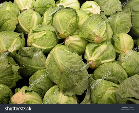 Heads Of Lettuce Stock Photo 1994782 : Shutterstock