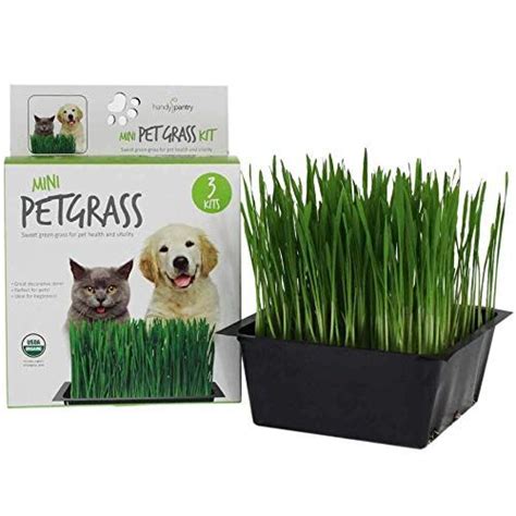 Handy Pantry Organic Cat Grass Kit | Includes Everything ... https://www.amazon.com/dp ...