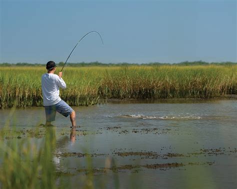 Getting Started Saltwater Fly Fishing