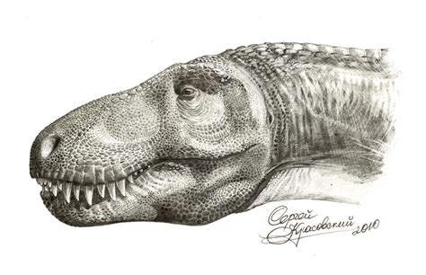 tarbosaurus bataar by atrox1 on DeviantArt