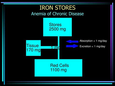 PPT - IRON METABOLISM DISORDERS PowerPoint Presentation, free download - ID:1285171