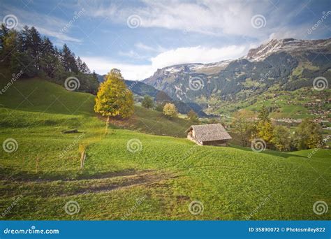 Swiss Alps stock photo. Image of alps, switzerland, jungfraujoch - 35890072