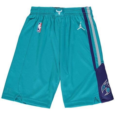 Jordan Brand Charlotte Hornets Youth Aqua/Purple Swingman Icon ...