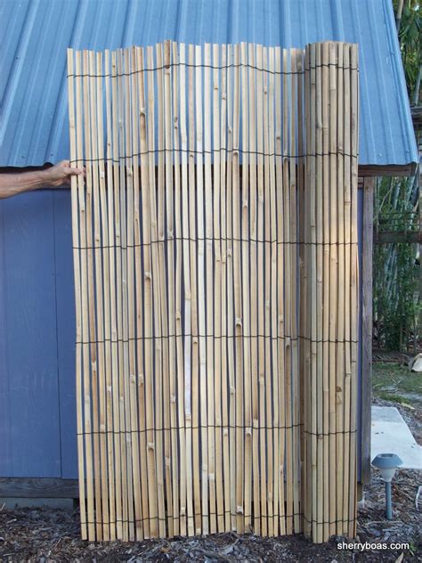 Photos of Split Bamboo Fencing | Bamboo from Florida for Privacy & Beauty. Fast-Growing, Non ...