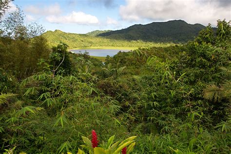 Best National Parks and Forests in the Caribbean | Royal Caribbean Blog