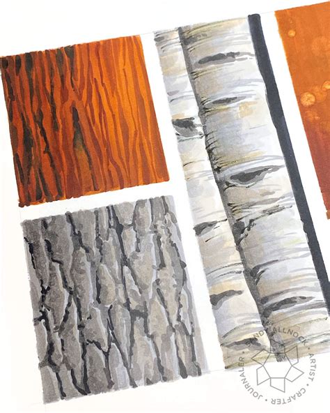 Tips for Drawing Tree Trunk Bark Textures - Sandy Allnock