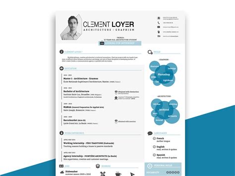 Free Infographic Resume Template in 2024 - ResumeKraft