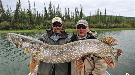 Great Slave Lake Fishing In Northwest Territories | Adventures.com