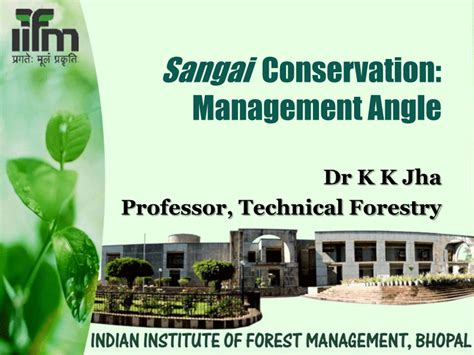 (PDF) Sangai Conservation: Perceived Problems and Suggested Solutions