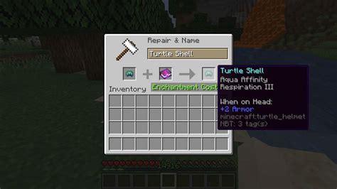 Top 5 enchantments for turtle shells in Minecraft